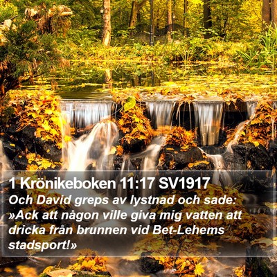 1 Krönikeboken 11:17 SV1917 Bible Verse Image