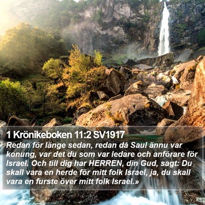 1 Krönikeboken 11:2 SV1917 Bible Verse Image