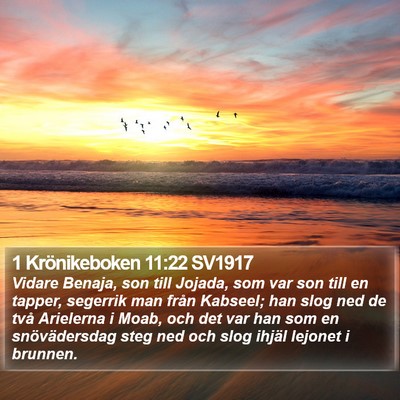 1 Krönikeboken 11:22 SV1917 Bible Verse Image