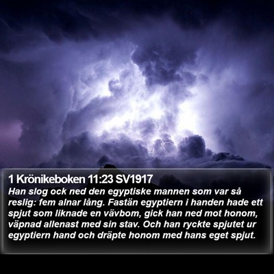 1 Krönikeboken 11:23 SV1917 Bible Verse Image