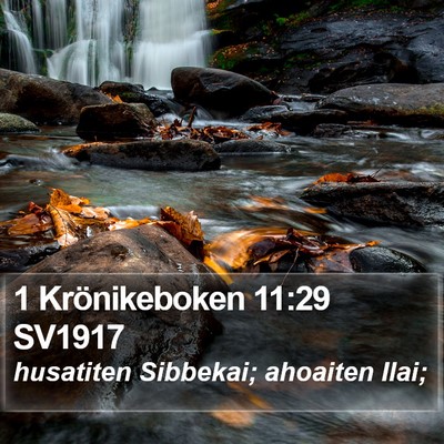 1 Krönikeboken 11:29 SV1917 Bible Verse Image