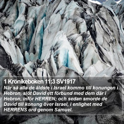 1 Krönikeboken 11:3 SV1917 Bible Verse Image