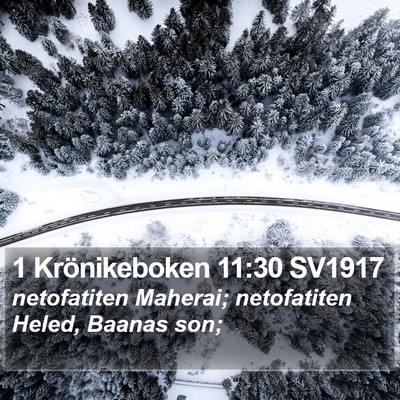 1 Krönikeboken 11:30 SV1917 Bible Verse Image