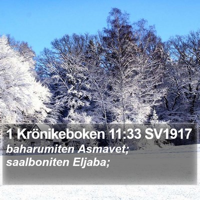 1 Krönikeboken 11:33 SV1917 Bible Verse Image