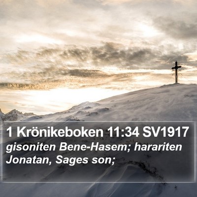 1 Krönikeboken 11:34 SV1917 Bible Verse Image