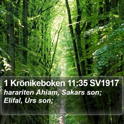1 Krönikeboken 11:35 SV1917 Bible Verse Image
