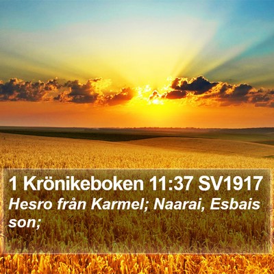 1 Krönikeboken 11:37 SV1917 Bible Verse Image