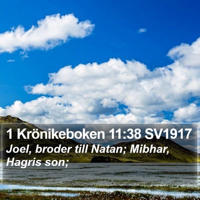1 Krönikeboken 11:38 SV1917 Bible Verse Image