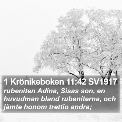 1 Krönikeboken 11:42 SV1917 Bible Verse Image