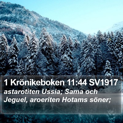 1 Krönikeboken 11:44 SV1917 Bible Verse Image