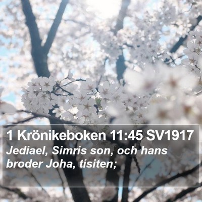 1 Krönikeboken 11:45 SV1917 Bible Verse Image