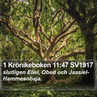 1 Krönikeboken 11:47 SV1917 Bible Verse Image