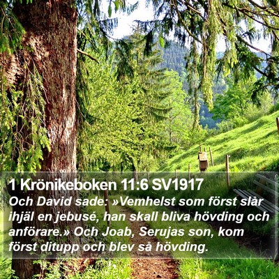 1 Krönikeboken 11:6 SV1917 Bible Verse Image