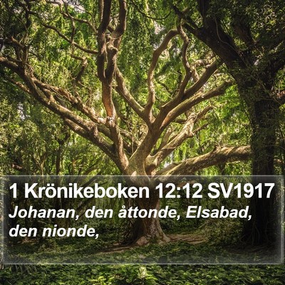 1 Krönikeboken 12:12 SV1917 Bible Verse Image