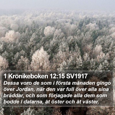 1 Krönikeboken 12:15 SV1917 Bible Verse Image