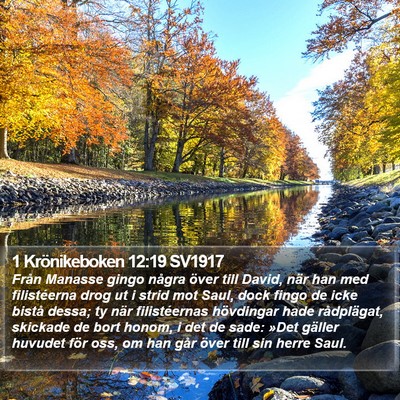 1 Krönikeboken 12:19 SV1917 Bible Verse Image
