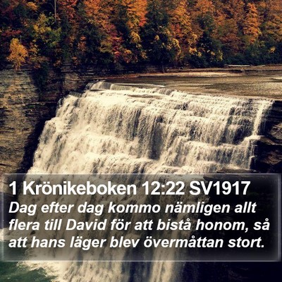 1 Krönikeboken 12:22 SV1917 Bible Verse Image
