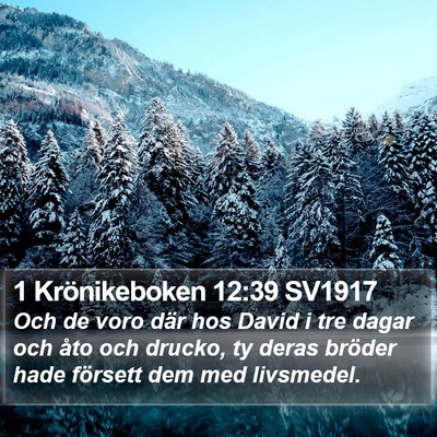 1 Krönikeboken 12:39 SV1917 Bible Verse Image