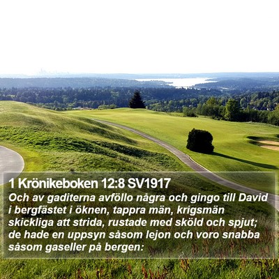 1 Krönikeboken 12:8 SV1917 Bible Verse Image