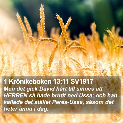 1 Krönikeboken 13:11 SV1917 Bible Verse Image