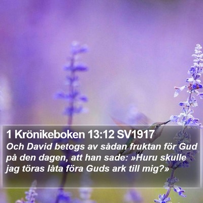 1 Krönikeboken 13:12 SV1917 Bible Verse Image