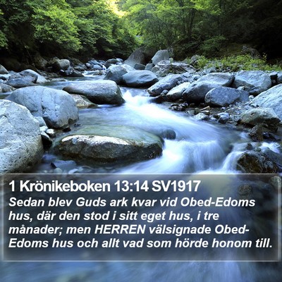 1 Krönikeboken 13:14 SV1917 Bible Verse Image