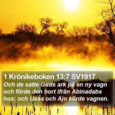 1 Krönikeboken 13:7 SV1917 Bible Verse Image