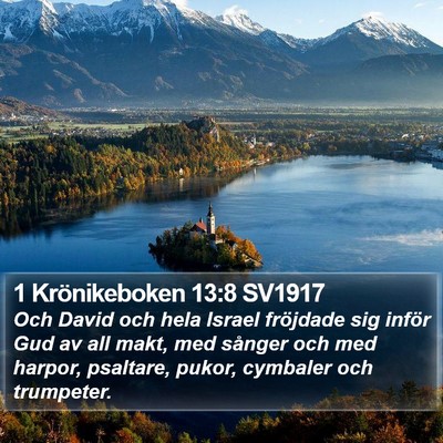 1 Krönikeboken 13:8 SV1917 Bible Verse Image