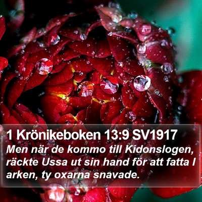 1 Krönikeboken 13:9 SV1917 Bible Verse Image