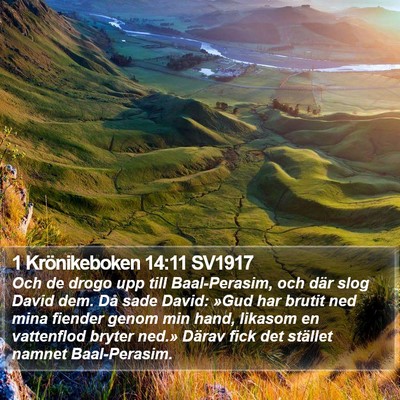 1 Krönikeboken 14:11 SV1917 Bible Verse Image