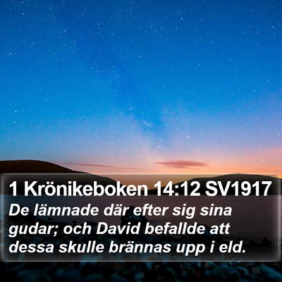 1 Krönikeboken 14:12 SV1917 Bible Verse Image