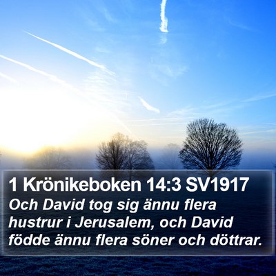 1 Krönikeboken 14:3 SV1917 Bible Verse Image
