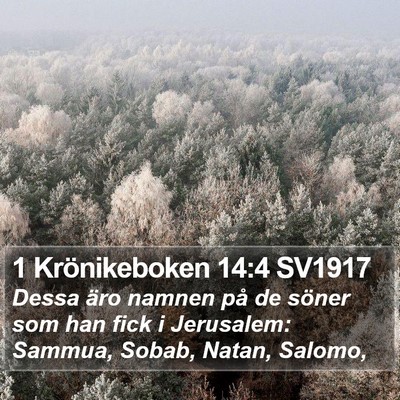 1 Krönikeboken 14:4 SV1917 Bible Verse Image