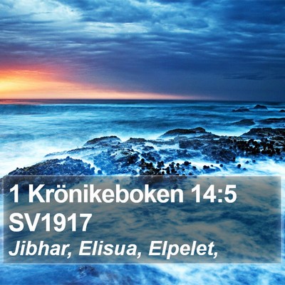 1 Krönikeboken 14:5 SV1917 Bible Verse Image