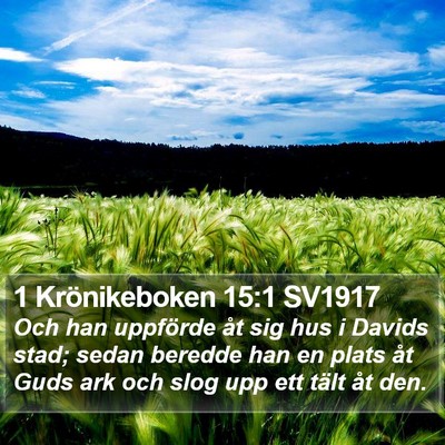 1 Krönikeboken 15:1 SV1917 Bible Verse Image