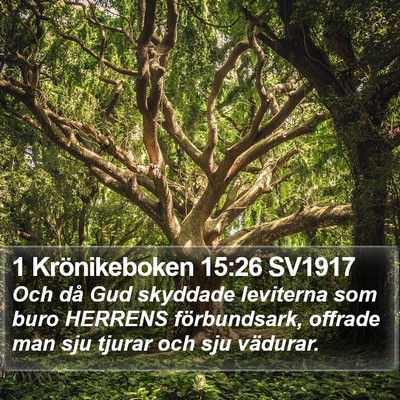 1 Krönikeboken 15:26 SV1917 Bible Verse Image