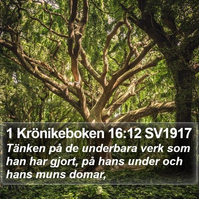 1 Krönikeboken 16:12 SV1917 Bible Verse Image