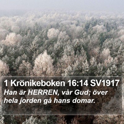 1 Krönikeboken 16:14 SV1917 Bible Verse Image