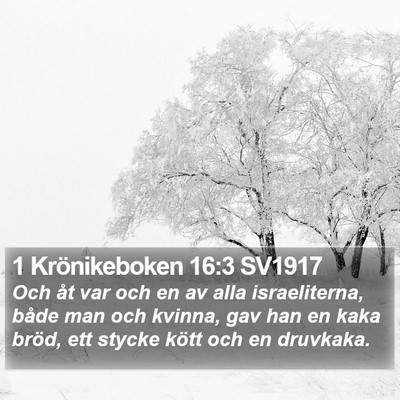 1 Krönikeboken 16:3 SV1917 Bible Verse Image