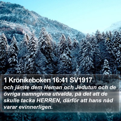 1 Krönikeboken 16:41 SV1917 Bible Verse Image
