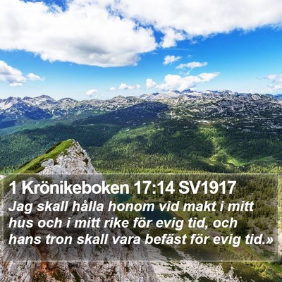1 Krönikeboken 17:14 SV1917 Bible Verse Image