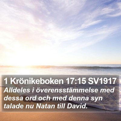 1 Krönikeboken 17:15 SV1917 Bible Verse Image