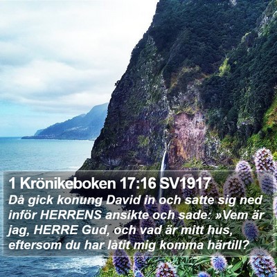 1 Krönikeboken 17:16 SV1917 Bible Verse Image