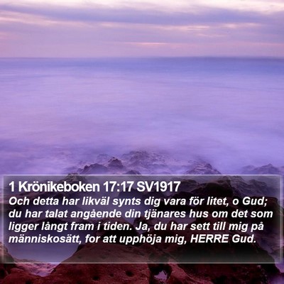 1 Krönikeboken 17:17 SV1917 Bible Verse Image