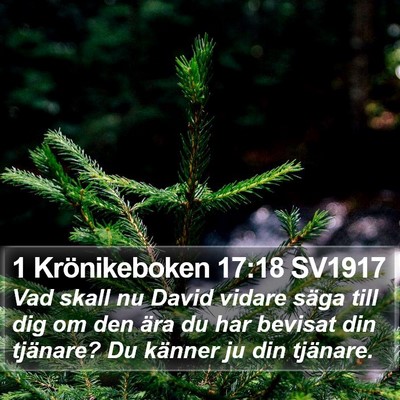 1 Krönikeboken 17:18 SV1917 Bible Verse Image