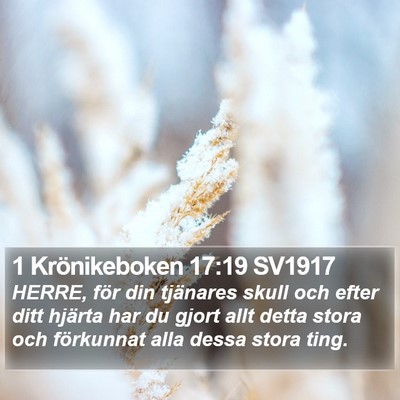 1 Krönikeboken 17:19 SV1917 Bible Verse Image