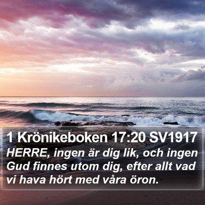 1 Krönikeboken 17:20 SV1917 Bible Verse Image