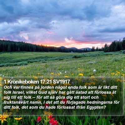 1 Krönikeboken 17:21 SV1917 Bible Verse Image