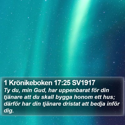 1 Krönikeboken 17:25 SV1917 Bible Verse Image