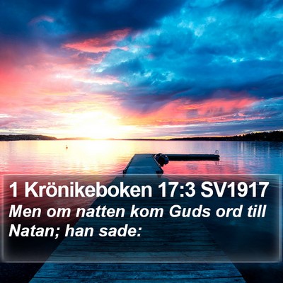 1 Krönikeboken 17:3 SV1917 Bible Verse Image